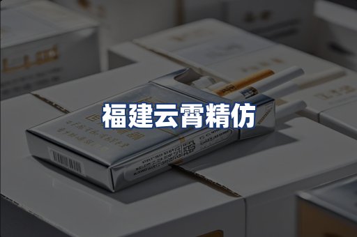 福建云霄精仿